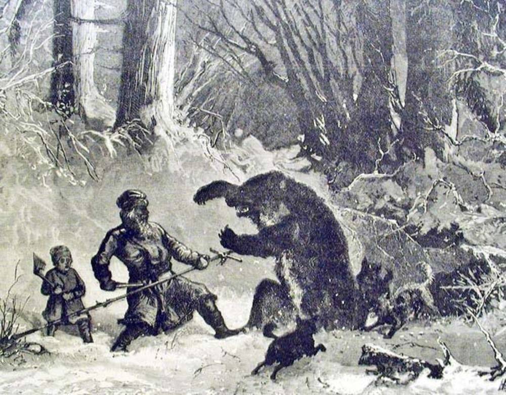 8 способов охоты на медведя + советы по выбору оружия