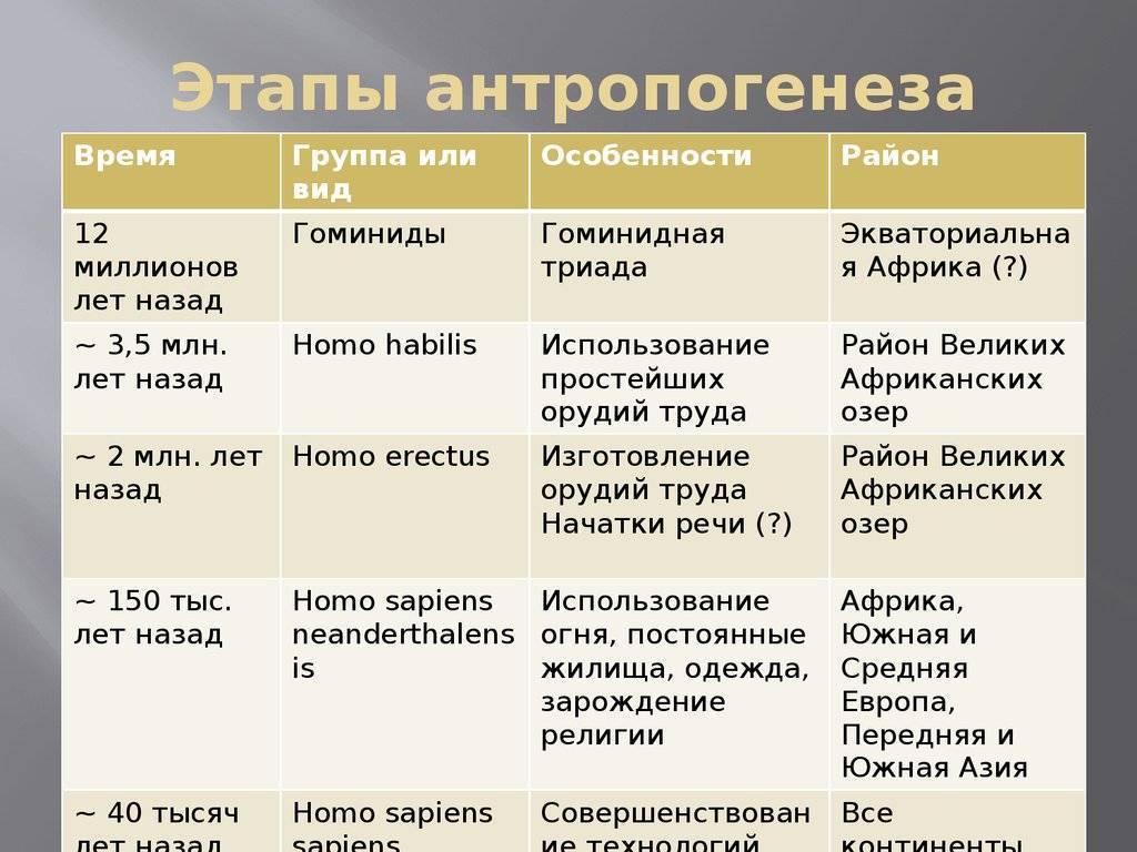 История обуви от древних времен до наших дней