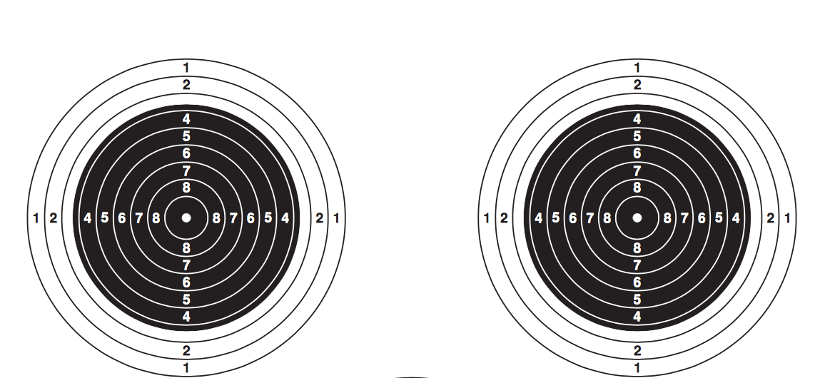 Мишень 8 винтовка. Мишень №6 для стрельбы из пневматической винтовки 10 метров. Мишень 10 винтовка пневматическая дистанция 10 м. Мишень на а4 для стрельбы из пневматической винтовки на 10м. Мишени для стрельбы а4 10м пневматики 10 МССВУ.