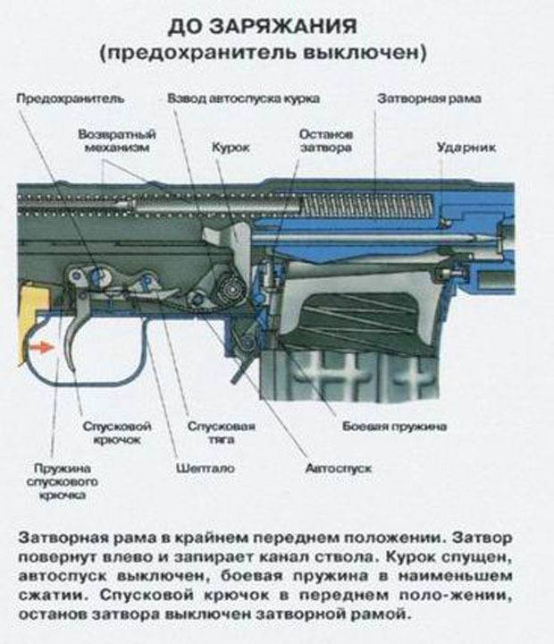 Старая "плетка". почему армия не может отказаться от винтовки драгунова [фото] / news2.ru