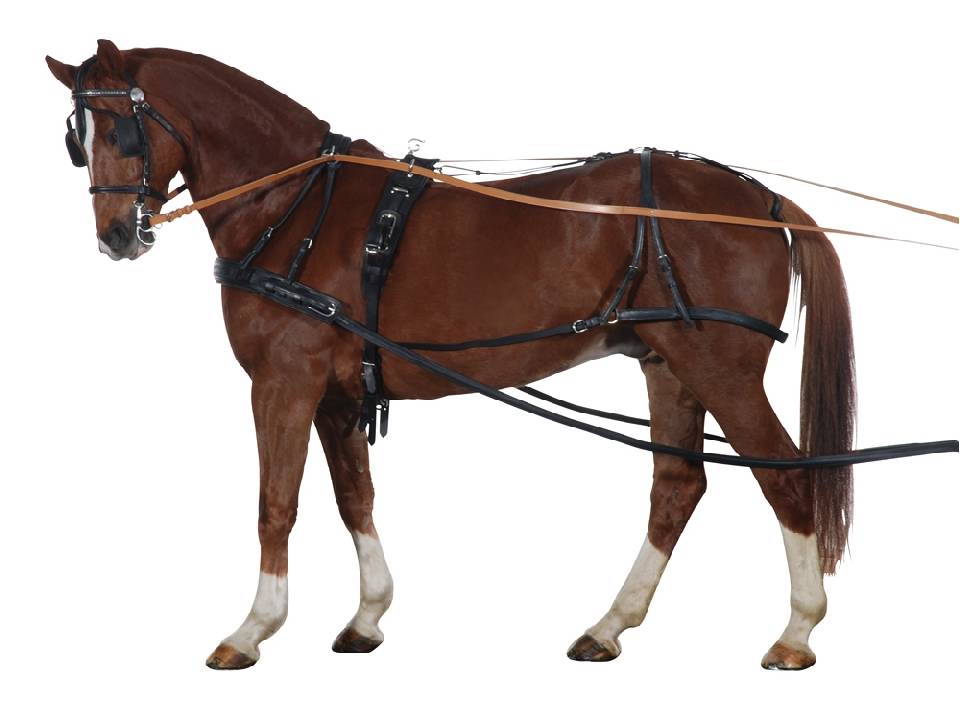 Запряженная лошадь: как правильно запрягать коня в сани и телегу? способы запряжки в повозку. предметы и жерди для запрягания