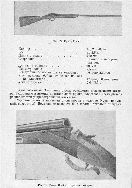 Популярное гладкоствольное ружьё ИЖ-12