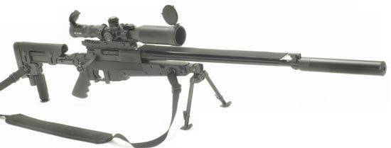 Снайперская винтовка iwi dan