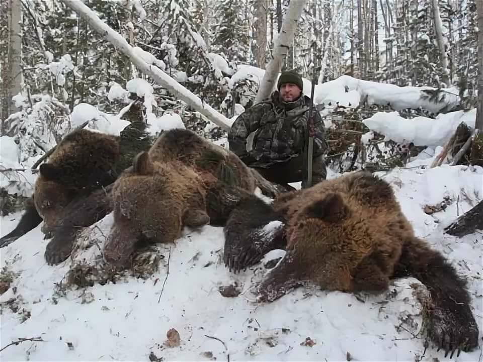 Рогатина на медведя: применение в групповой травле зверя и в одиночной охоте