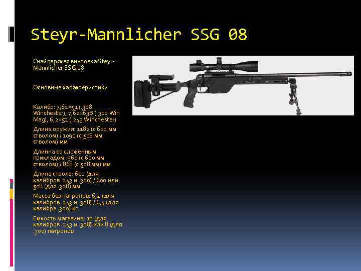 Снайперская винтовка steyr ssg m1