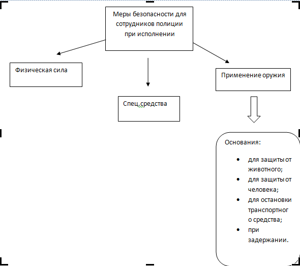 Реферат: Правовые основы применения сотрудниками милиции физической силы, специальных средств и огнестрельного оружия и меры безопасности