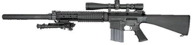 Снайперская винтовка TEI M89-SR