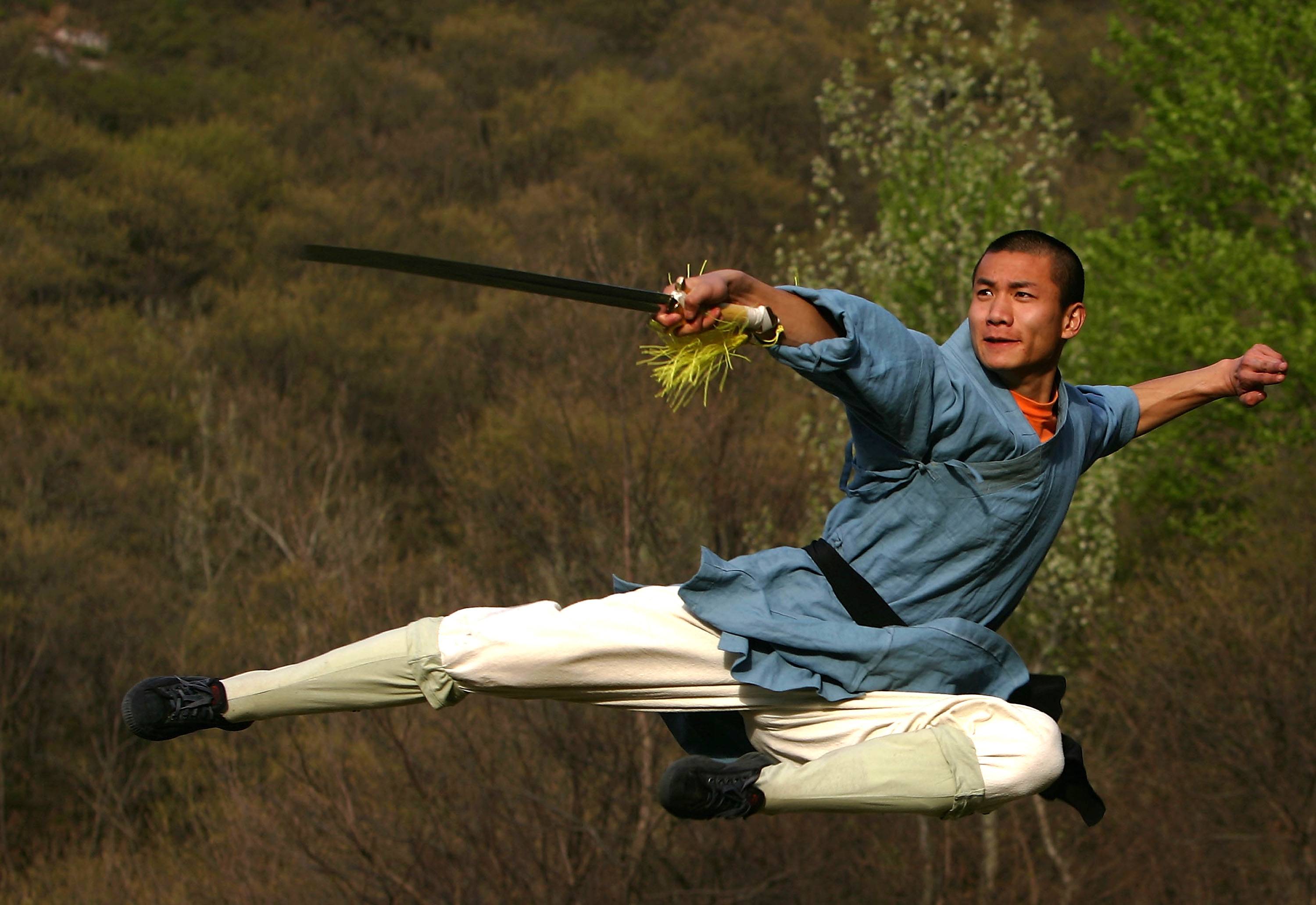 Виды боевых искусств китая