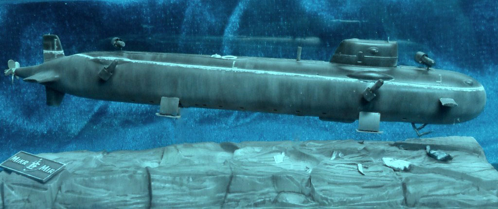 Подводная лодка типа "палтус"