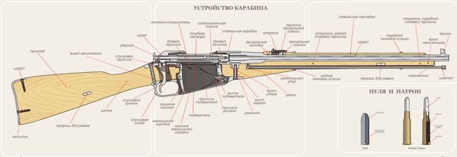 Легендарная винтовка мосина и ее модификации