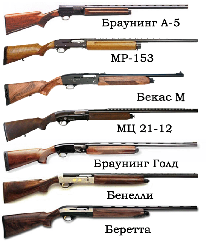 Охотничье ружье иж-54: характеристики и отзывы