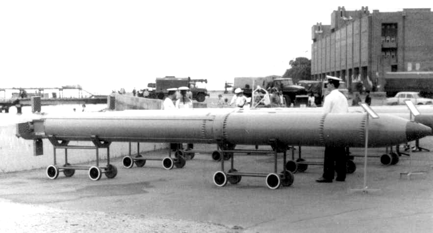 Ракетный противолодочный  комплекс рпк-2 "вьюга" с ракетой 81р