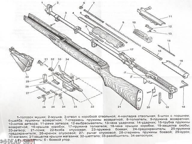 Охолощенное оружие: самозарядный карабин Симонова СКС-СХ (ВПО 927)