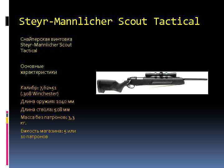 Снайперская винтовка Steyr-Mannlicher Scout