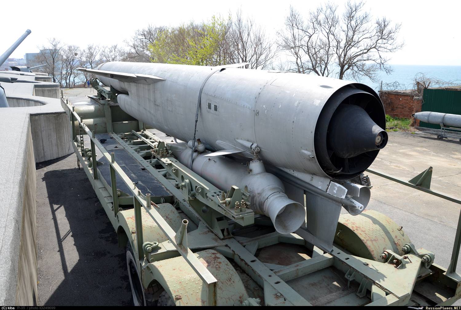 Объект 100