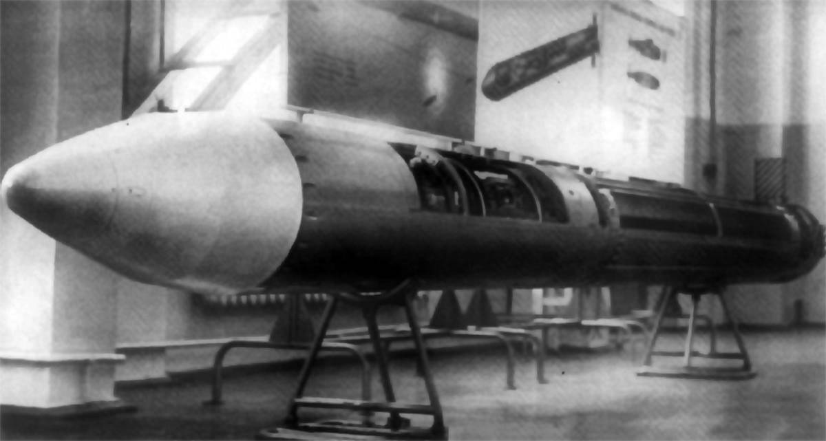 РПК-2 Вьюга, ракета 81Р - SS-N-15 STARFISH