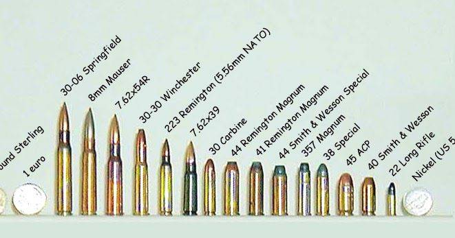 Пневматические винтовки калибром 5,5 мм - описание и лучшие модели